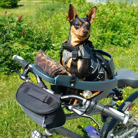Riding in Style