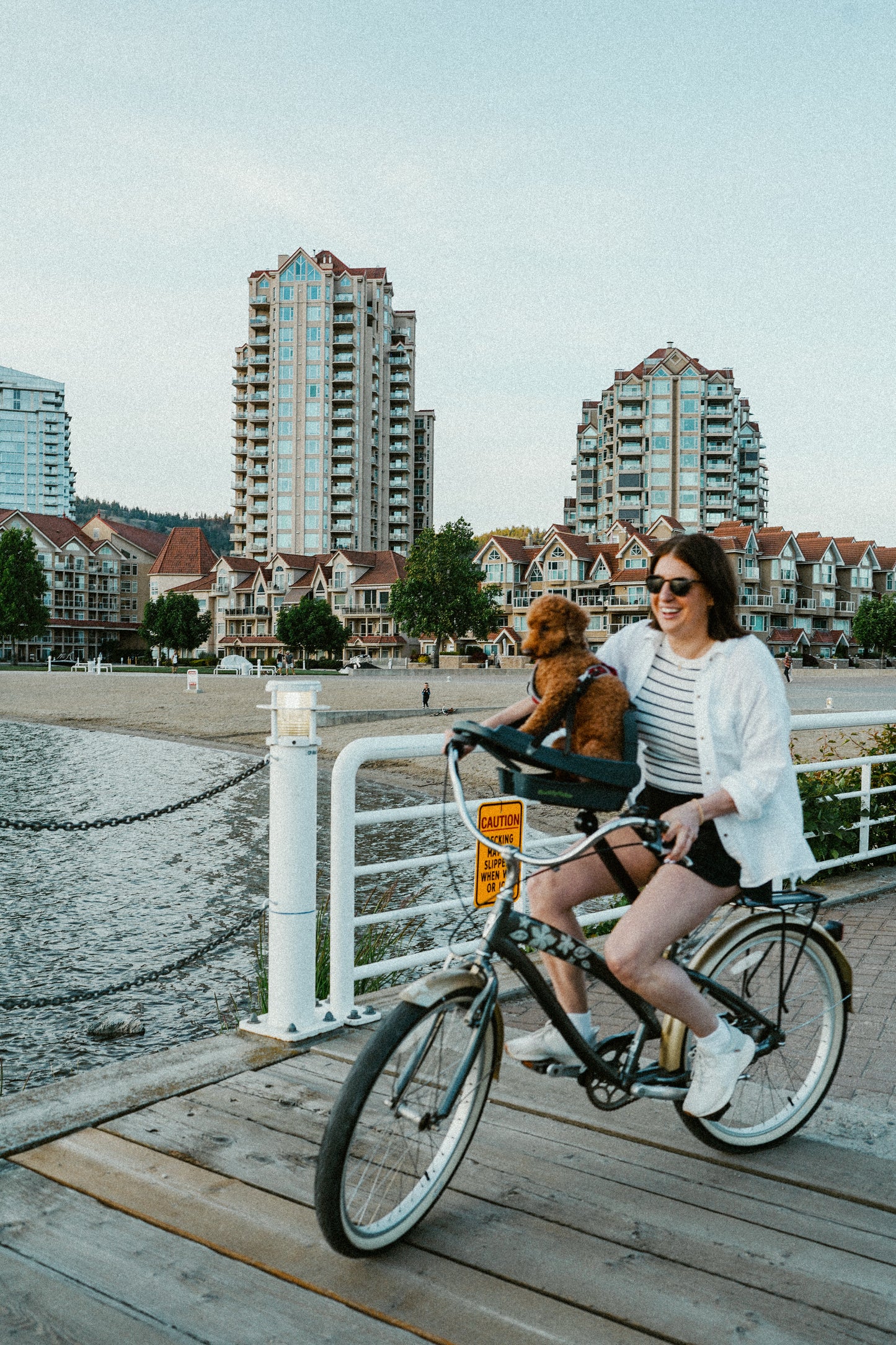 BuddyRider® Series 2 w/Flex-Arm