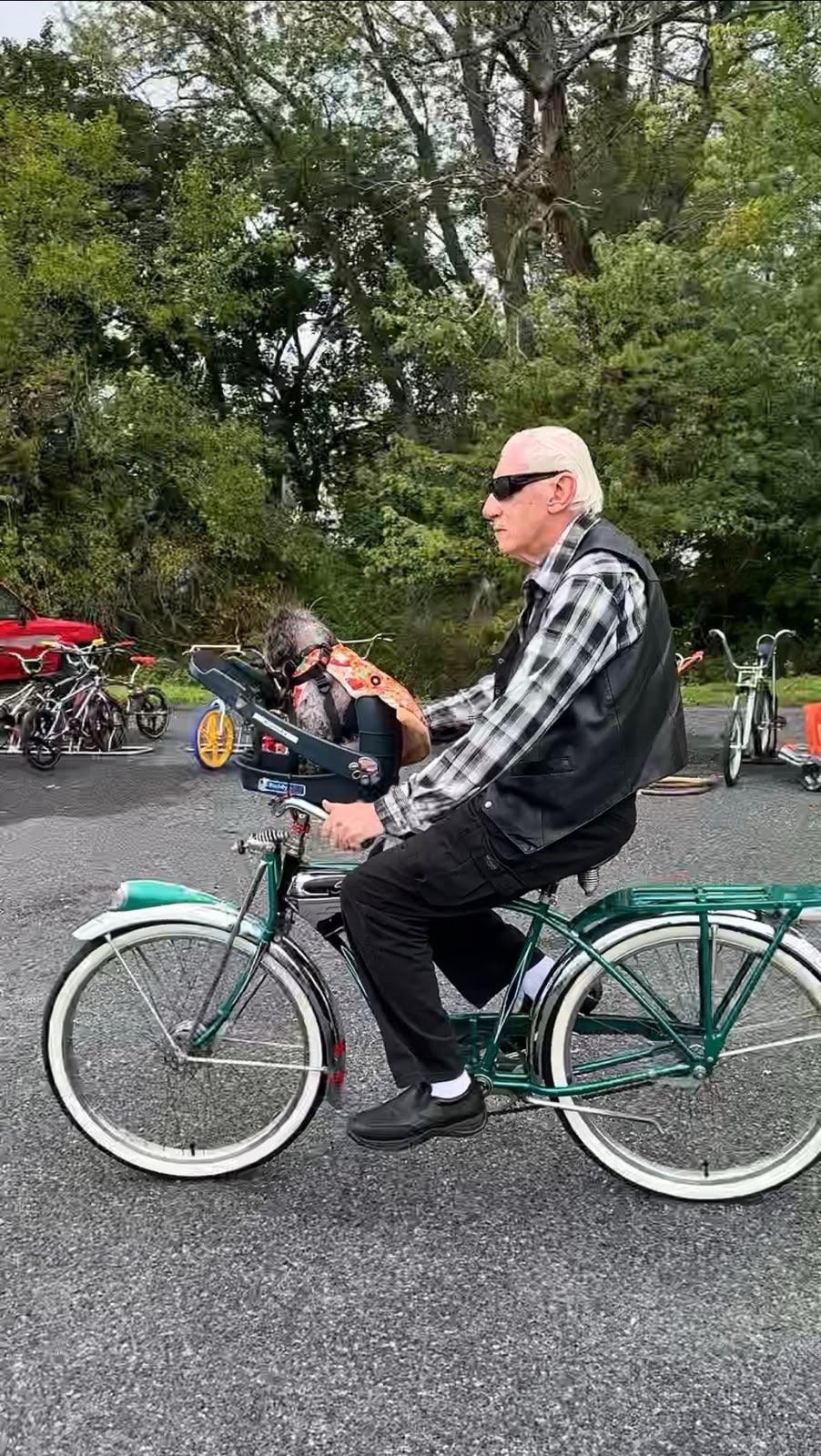 Roll On: One Rider, Two Dogs, One Healing Road