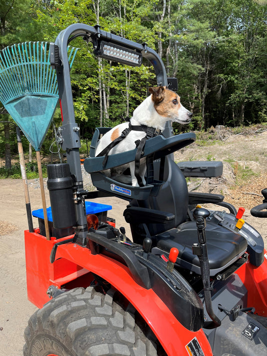 Riding Shotgun in Burlington: A Day in the Life of Jimmy and the BuddyRider®