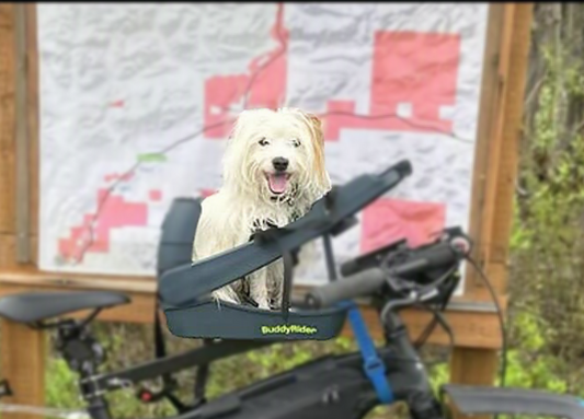 Born to Ride: A Jack Russell's Life on Two Wheels in Alaska