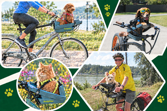 Pet Bike Basket vs. BuddyRider®: Which Is Better?