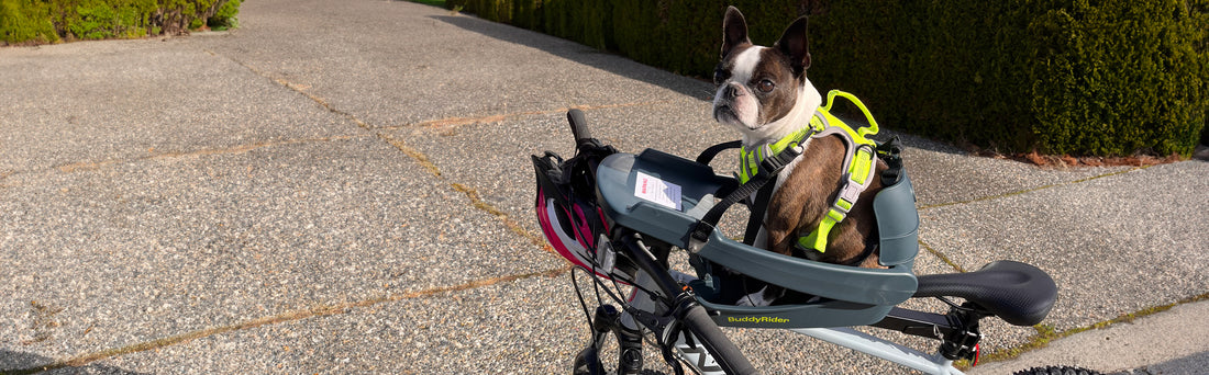Buddyrider® | Make the World Your Dog Park - Dog Bike Carriers ...