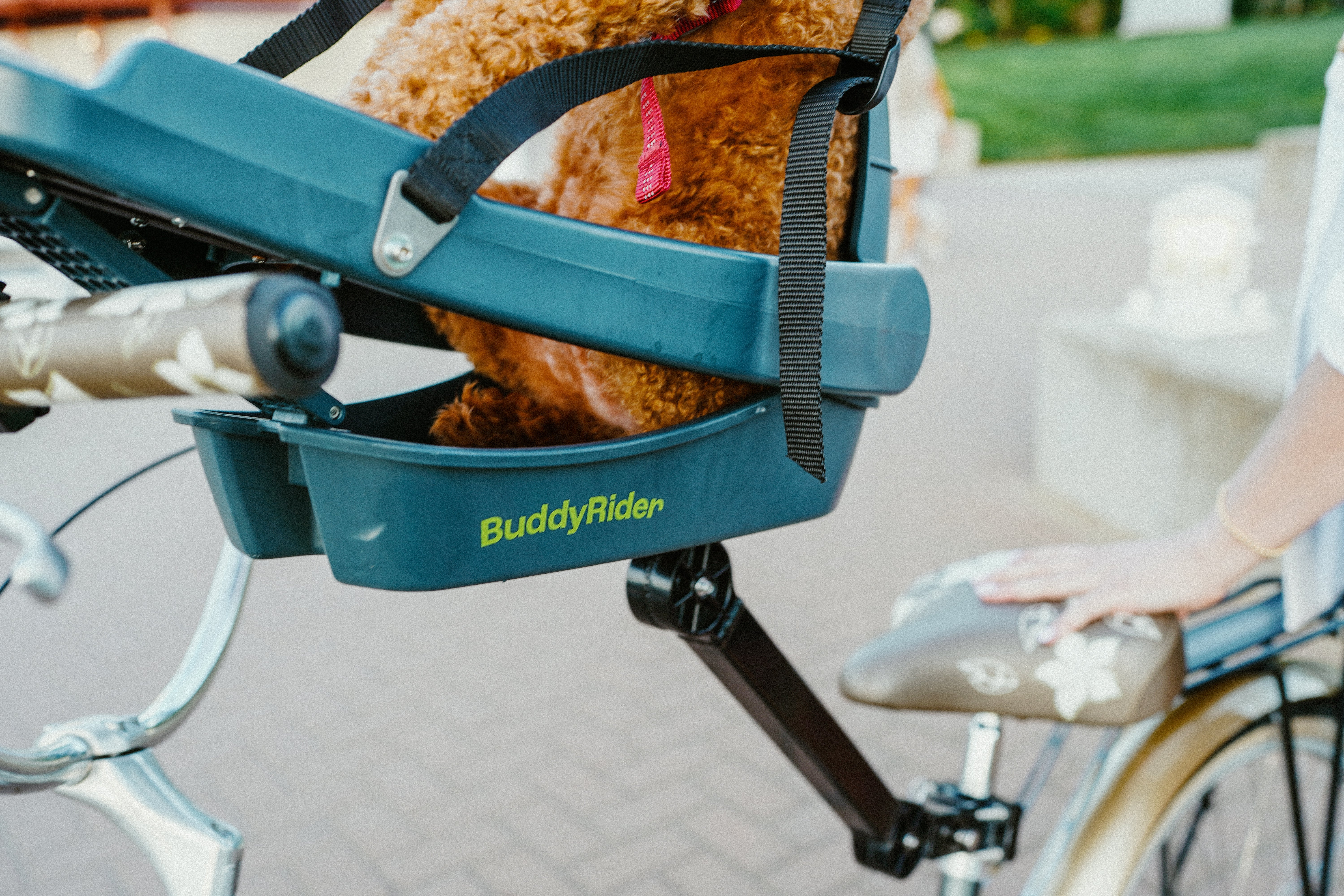 BuddyRider® | Make the World Your Dog Park - Dog Bike Carriers