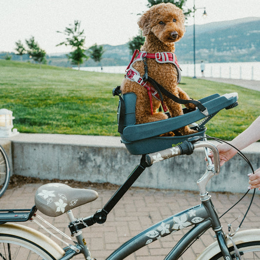 BuddyRider® Series 2 w/Flex-Arm