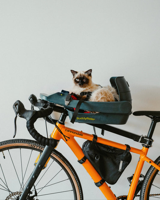 Buddy Rider BuddyRider® | Make the World Your Dog Park - Dog Bike Carriers ...