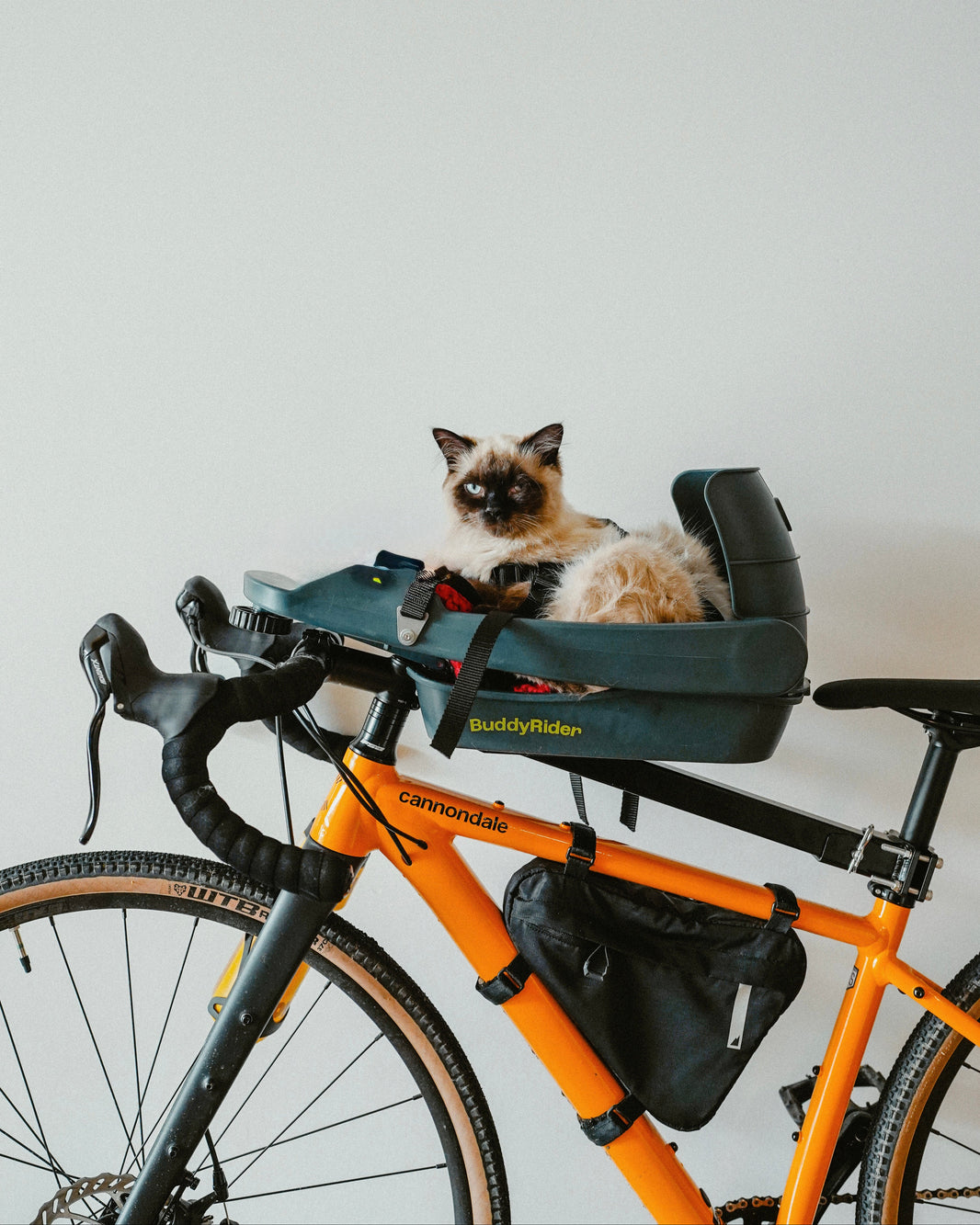 All – Buddyrider Canada