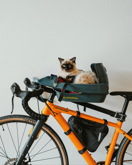 BuddyRider® Series w/ Rigid-Arm