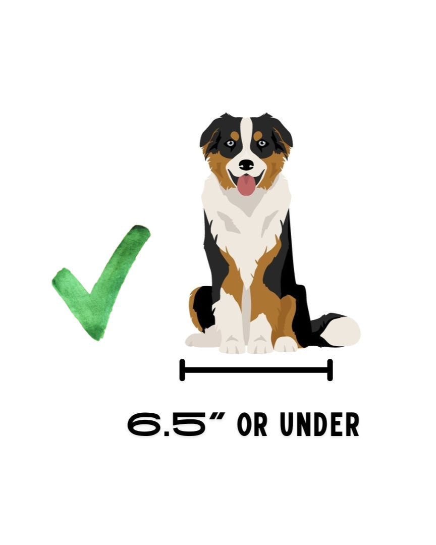 BuddyRider® Series w/ Rigid-Arm