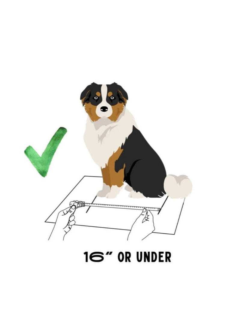 BuddyRider® Series w/ Rigid-Arm