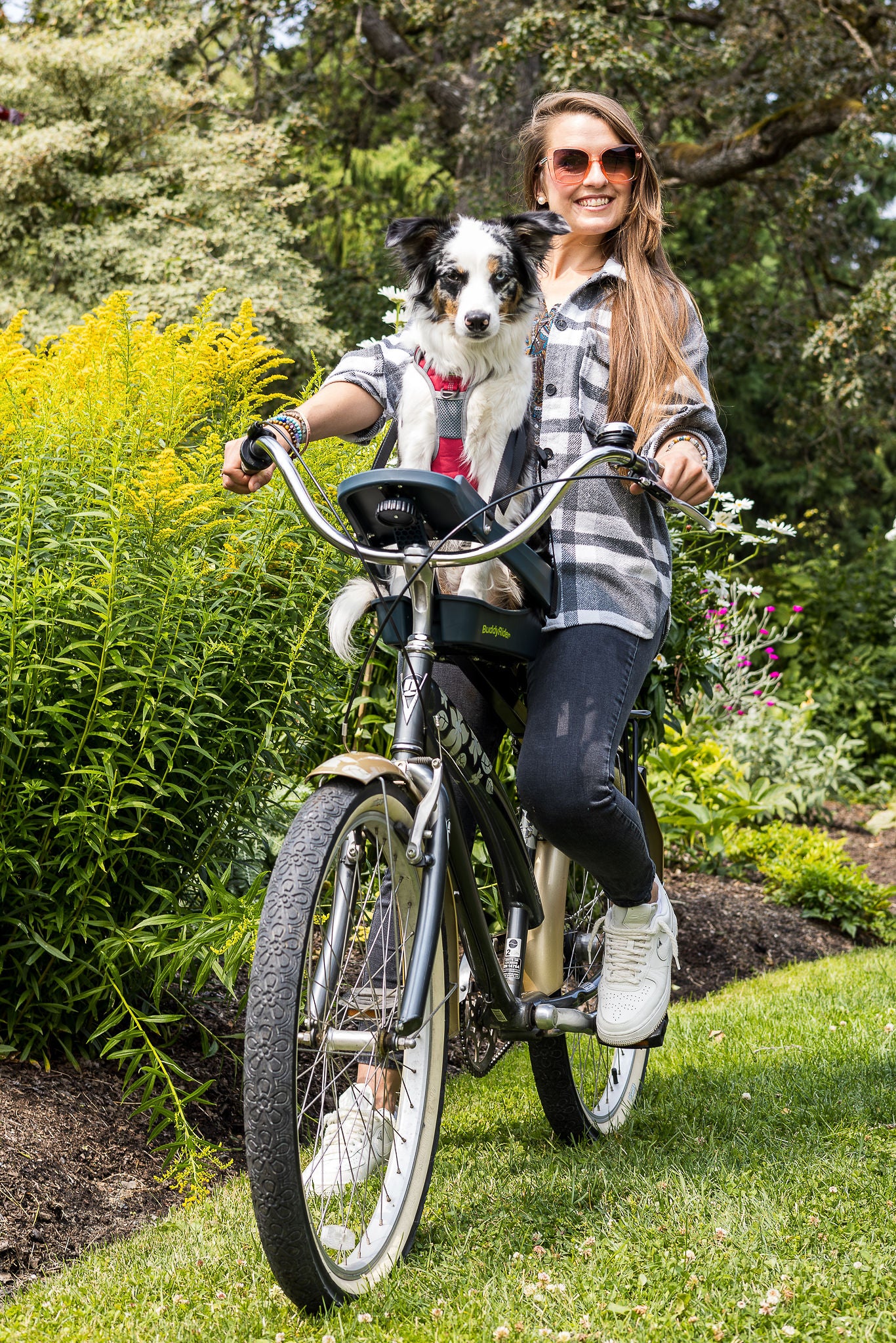 Buddyrider bicycle pet seat sale