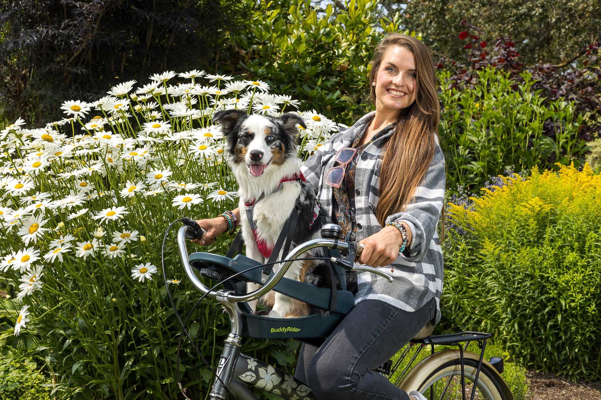 Buddy Rider BuddyRider® | Make the World Your Dog Park - Dog Bike Carriers ...