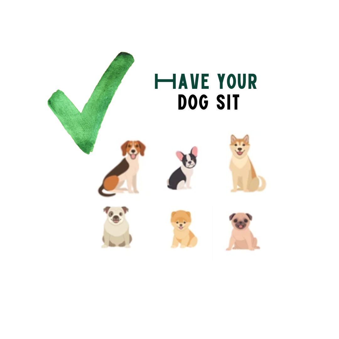 BuddyRider® Series w/ Rigid-Arm