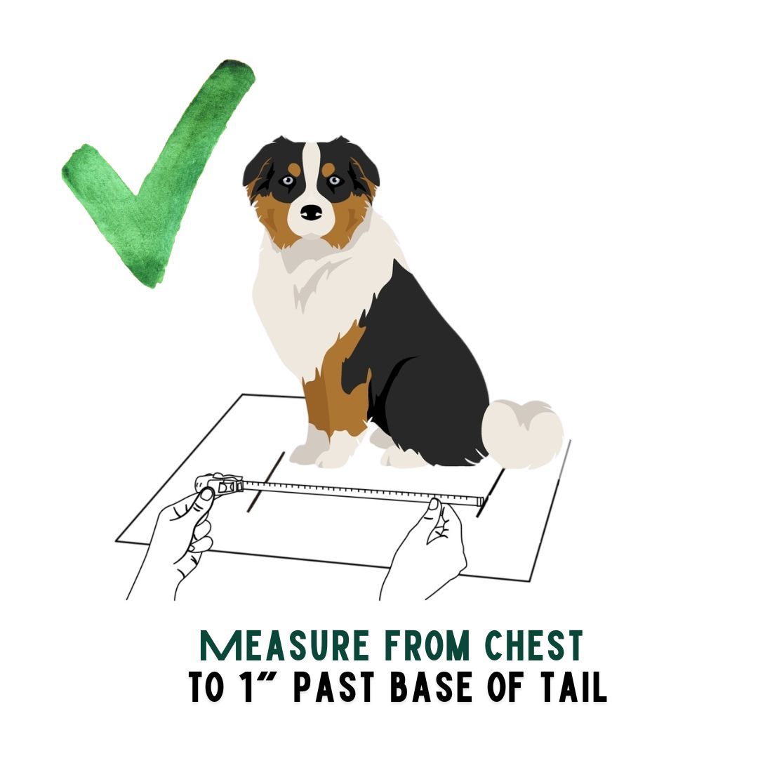 BuddyRider® Series 2 w/Flex-Arm