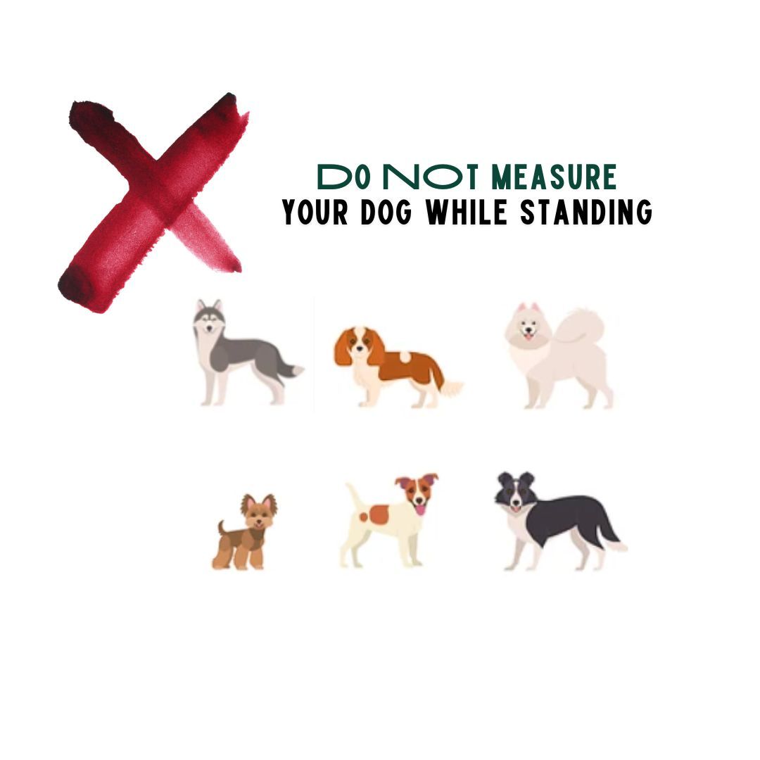 BuddyRider® Series w/ Rigid-Arm