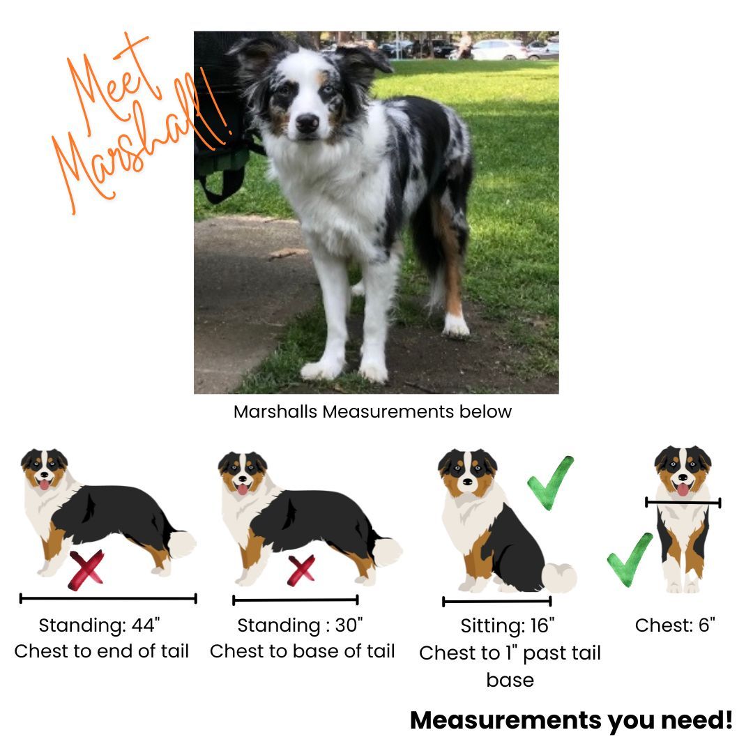 BuddyRider® Series w/ Rigid-Arm